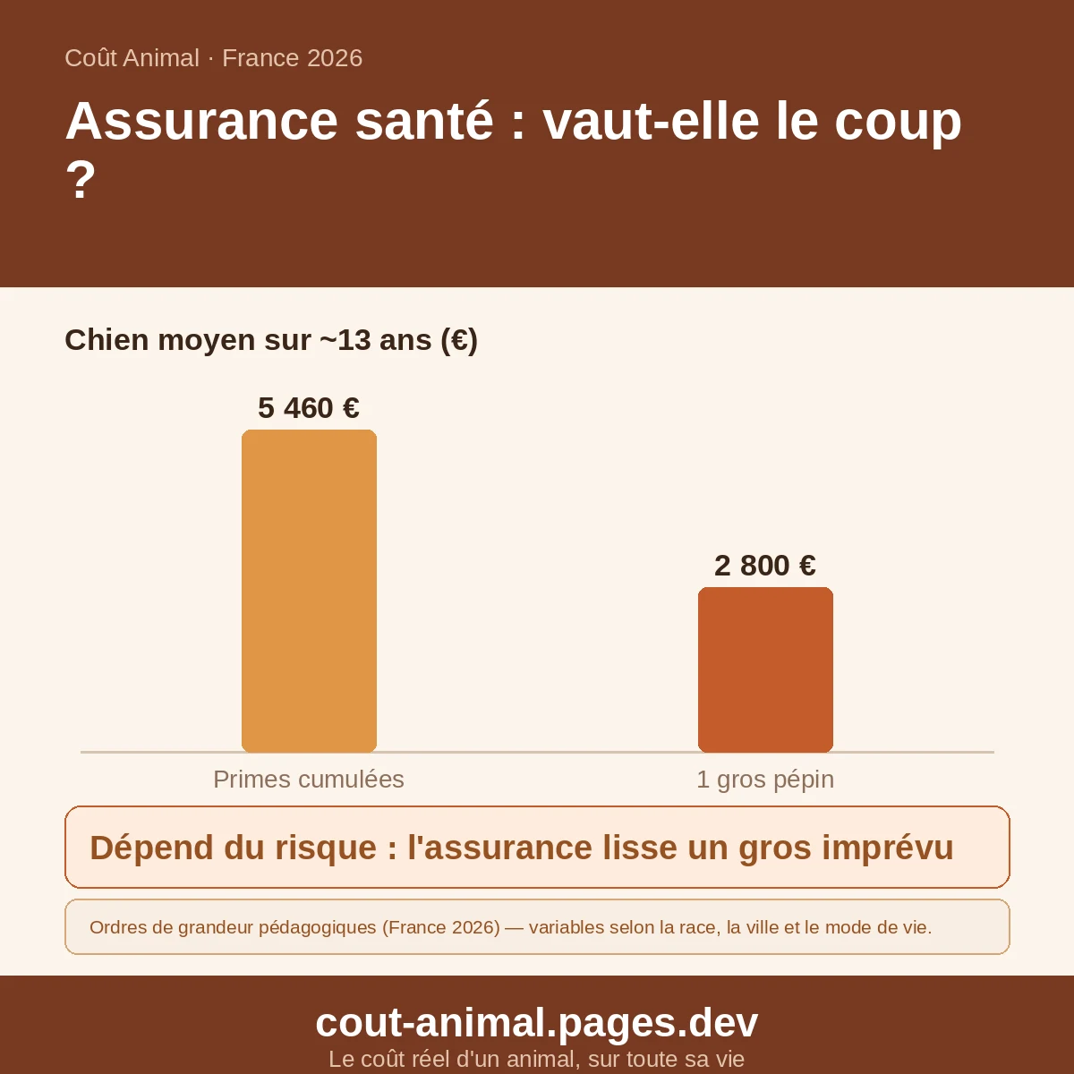 Faut-il assurer son chien ou son chat ? — coûts indicatifs, France 2026 (graphique)